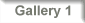 Gallery 1