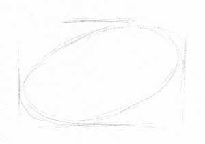 Step 0ne - draw the flower's basic shape