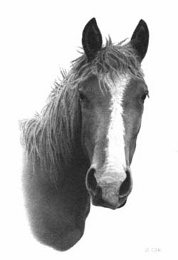 Strathmore 500 series drawing paper