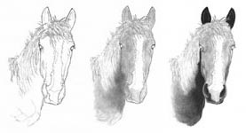 how to draw a horse 1,2 and 3