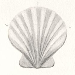 Scallop Shell - Step Three