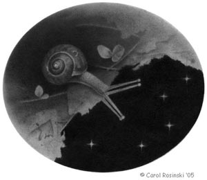 snail on a journey