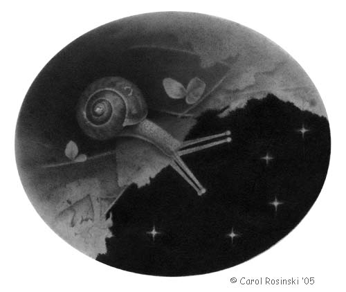 Toad Hollow Studio - Drawing Lesson