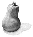 Toad Hollow Studio - Drawing Lesson