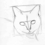 How To Draw A Cat - Carol's Drawing Blog